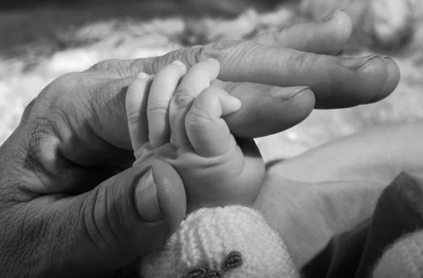 Hands of life — Stock Photo, Image