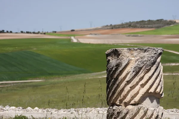 From the roman ruins — Stock Photo, Image