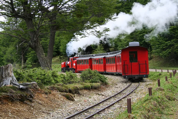 Damp trein — Stockfoto