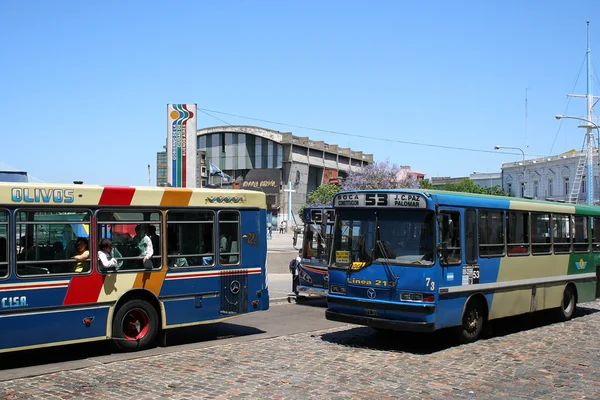 Argentinian buses
