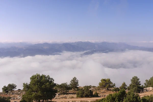 Over the clouds — Stock Photo, Image