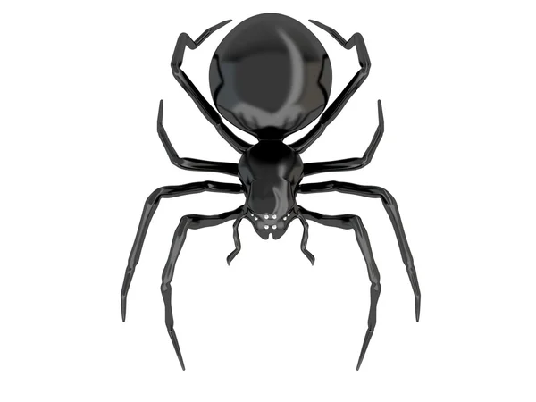 Spinne — Stockfoto