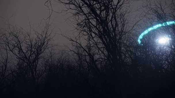 Ufo Sorvolato Foresta Selvaggia Notte — Video Stock