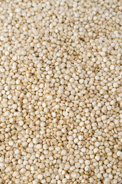 Quinoa-Nahaufnahme — Stockfoto