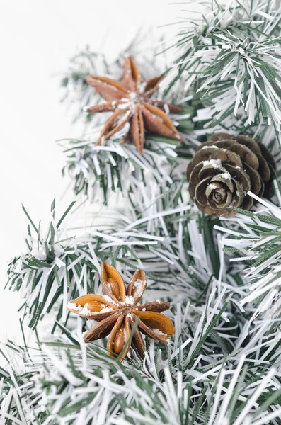 Spruce branches, pine cones and star anise — Stock Photo, Image