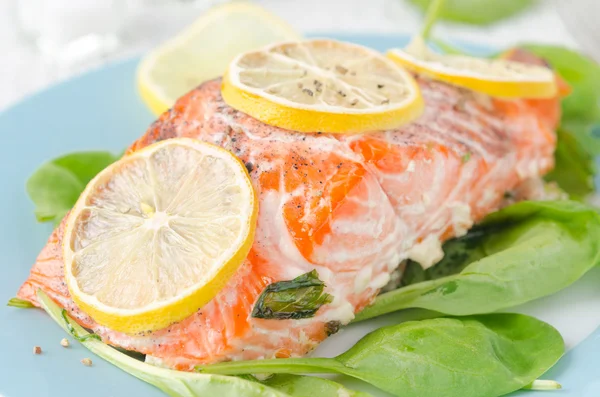 Baked salmon fillet with lemon and spinach — Stock Photo, Image