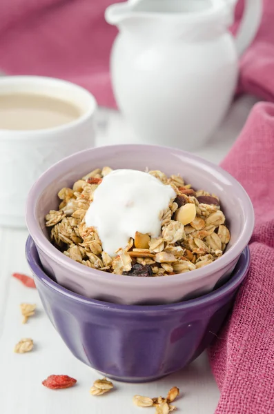 Homemade granola with goji berries and yogurt in a bowl closeup — Stock Photo, Image