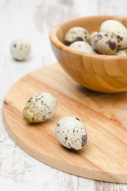 ahşap oyun tahtası, seçici odak bıldırcın yumurtası