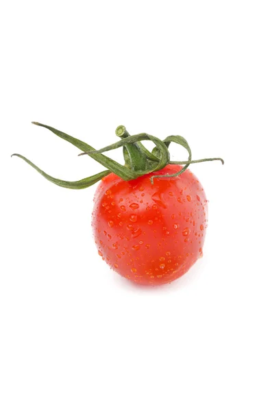 Tomate cereja isolado closeup — Fotografia de Stock