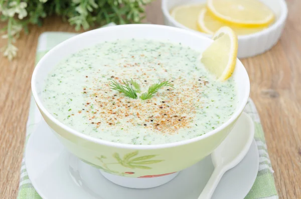 Zupa na zimno z kefiru i zioła poziome selektywne focus — Zdjęcie stockowe