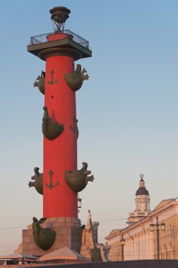 st. petersburg rostral sütun görünümü