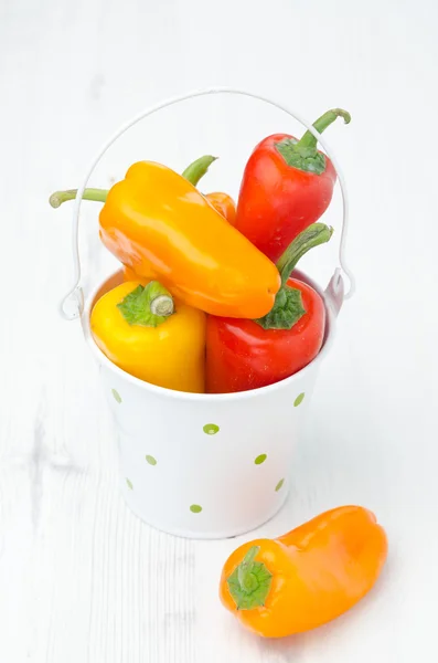 Mix of fresh colorful sweet peppers in a bucket closeup — Stock Photo, Image