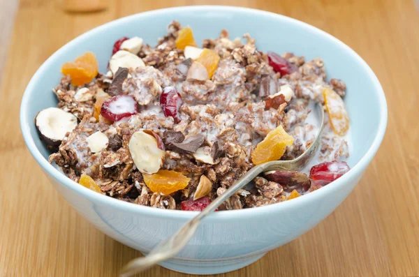 Chocolade muesli met noten, gedroogd fruit en melk close-up — Stockfoto