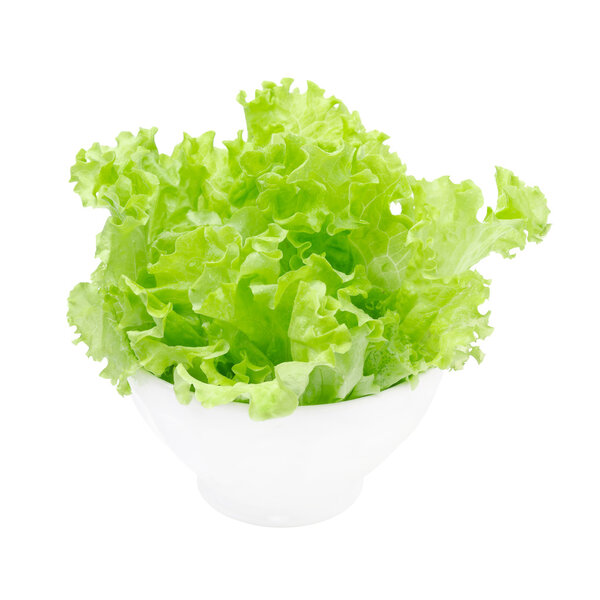 bowl of fresh green salad isolated