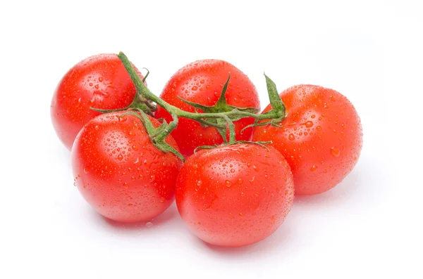 Verse tomaten op een tak op wit wordt geïsoleerd — Stockfoto