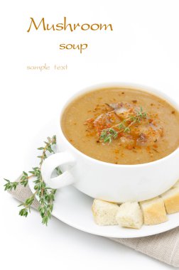 mantar kremalı çorba kruton ve izole kekik ile