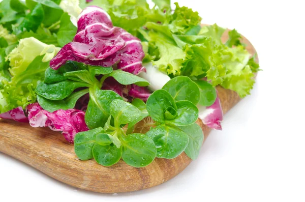 Assorted several kinds of fresh salad (corn, radicchio, lettuce) — Stock Photo, Image