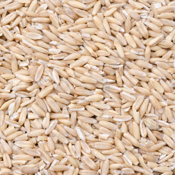 Oats background — Stock Photo, Image