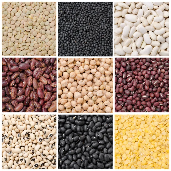 Collage of nine species of legumes — Stock Photo, Image