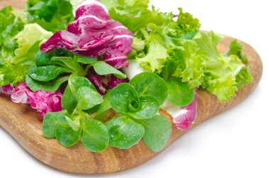 taze salata (Mısır, radicchio, marul birkaç çeşit çeşit çeşit)