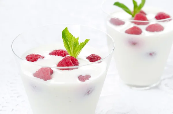 Nahaufnahme von Panna cotta mit frischen Himbeeren — Stockfoto