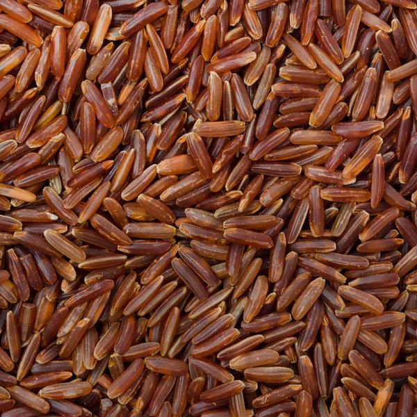 Red rice background — Stock Photo, Image