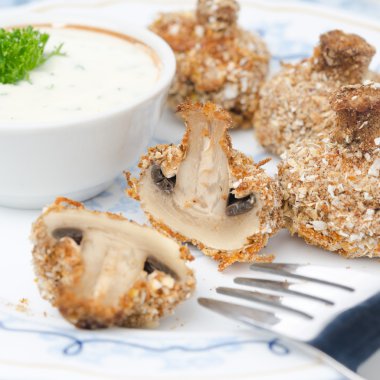 yoğurt soslu kızarmış yağlı mantar meze
