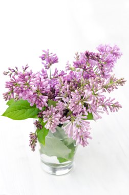 buket lilac bir cam, yakın çekim