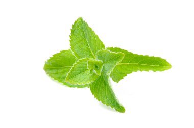 beyaz arkaplanda izole edilmiş taze nane