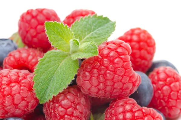 Close-up of fresh berries — Stock Photo, Image