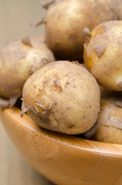 Close-up van nieuwe aardappelen, selectieve aandacht — Stockfoto