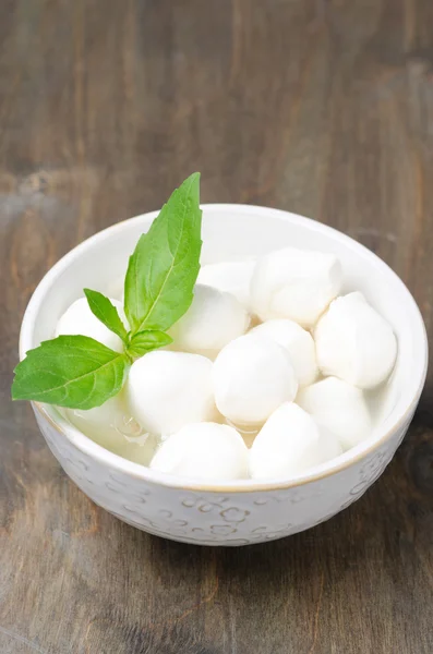 Färsk mozzarella och basilika — Stockfoto