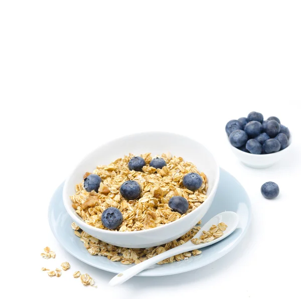 Hausgemachtes Müsli und Schale mit Blaubeeren, horizontal — Stockfoto