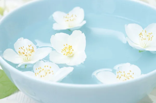 Close-up de flores de jasmim em uma tigela para o spa — Fotografia de Stock