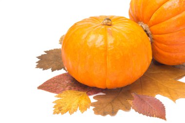 sonbahar yaprakları üzerinde beyaz izole üzerinde turuncu kabak