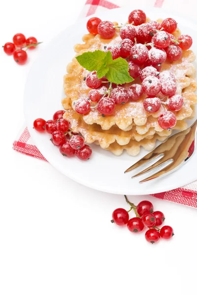 Stack of waffles with red currants and powdered sugar, isolated — Stock Photo, Image