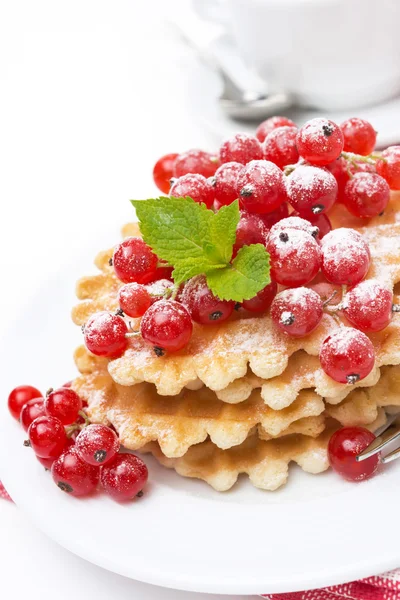 Waffles with red currant, sprinkled powdered sugar for breakfast — Stock Photo, Image