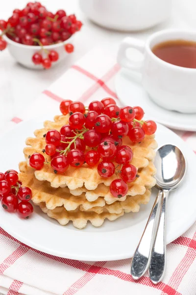 Belgian waffles with red currants on a plate, vertical — Stock Photo, Image