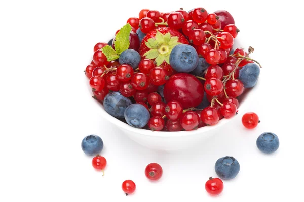 Assorted fresh seasonal berries in a bowl isolated, close-up — Stock Photo, Image