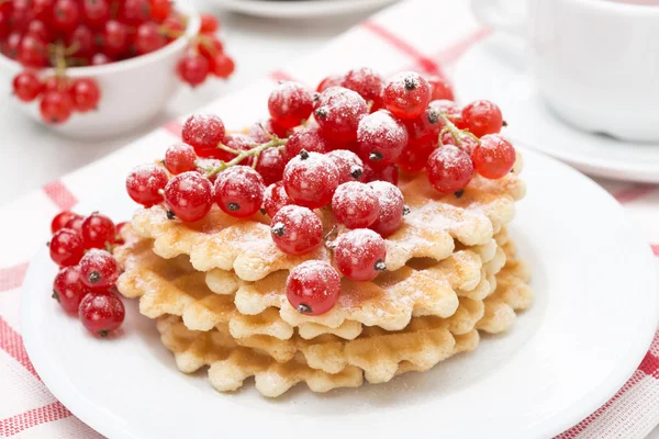 Belgian waffles with red currant, sprinkled with powdered sugar — Stock Photo, Image