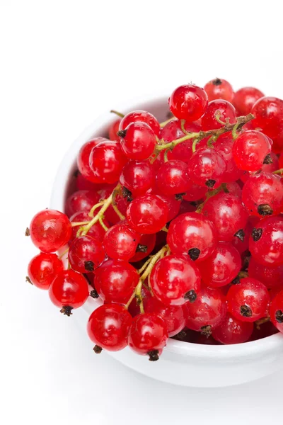 Schale mit roten Johannisbeeren isoliert auf weiß, Ansicht von oben — Stockfoto