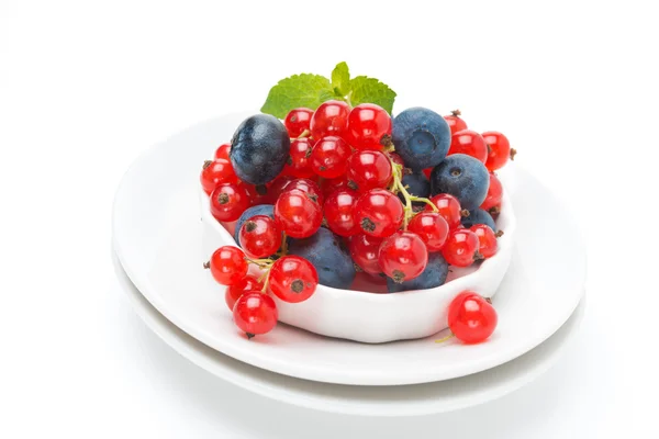 Skål med färska röda vinbär och blåbär isolerad på vit — Stockfoto
