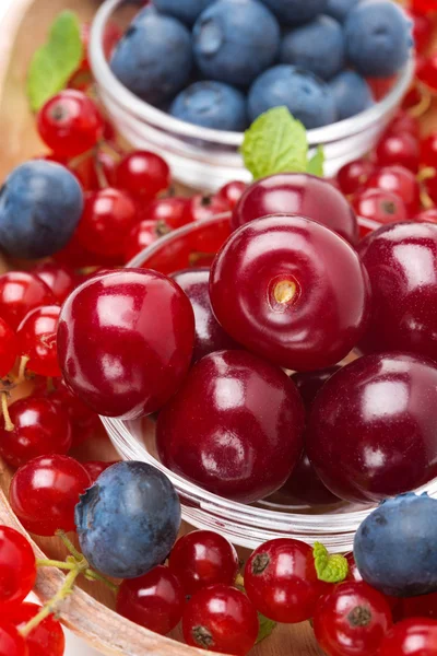 Primo piano di ciotola di ciliegie e frutti di bosco freschi assortiti — Foto Stock