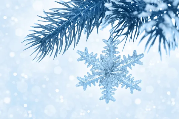 Větev s Vánoční dekorace na modrém pozadí s bokeh — Stock fotografie