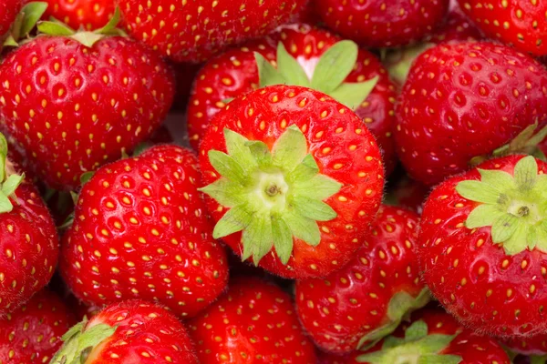 Färska jordgubbar bakgrund, närbild — Stockfoto