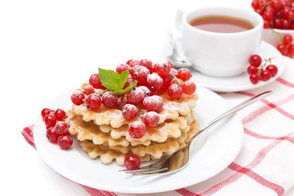 Waffles with red currant, sprinkled powdered sugar for breakfast — Stock Photo, Image