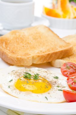sahanda yumurta, taze domates ve kahvaltıda gevrek ekmek