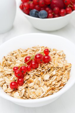 Frenk üzümü ve taze meyveleri yakın çekim kase müsli