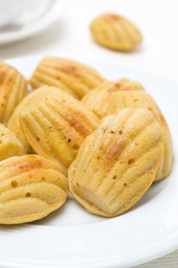 Madeleine kurabiye plaka yakın çekim, dikey olarak