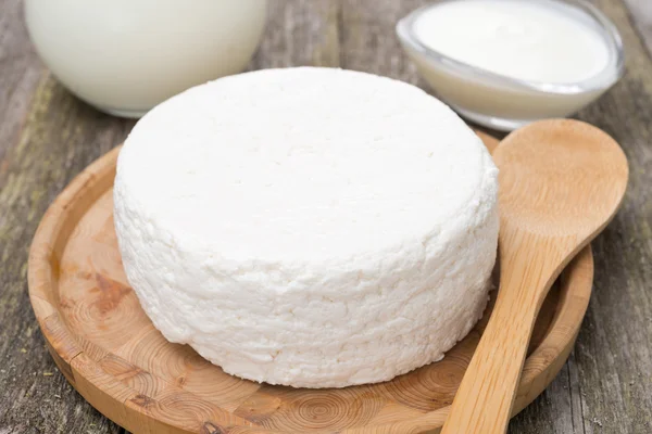 Fresh homemade cottage cheese, yogurt and milk, close-up — Stock Photo, Image